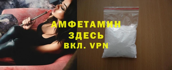 прущие грибы Корсаков