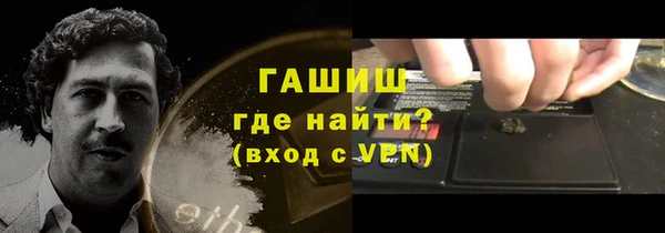прущие грибы Корсаков