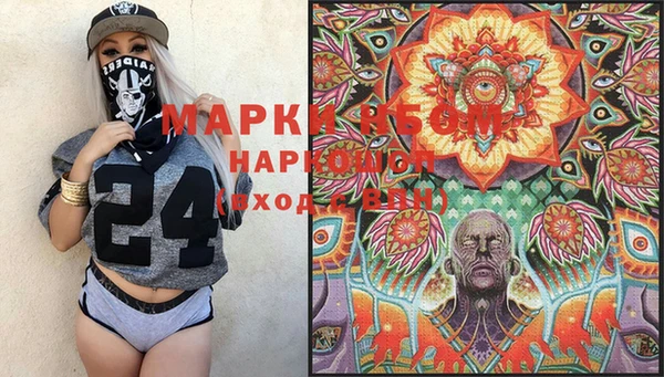 прущие грибы Корсаков