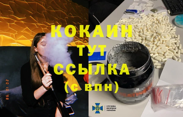 прущие грибы Корсаков