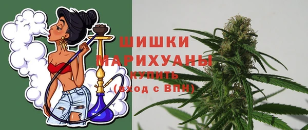 прущие грибы Корсаков