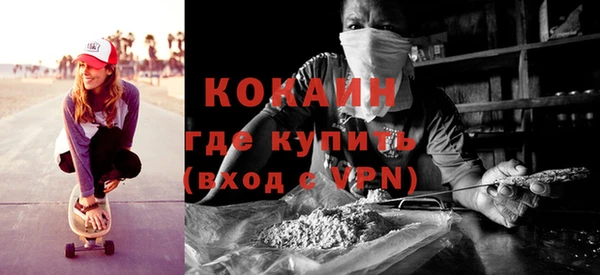 прущие грибы Корсаков