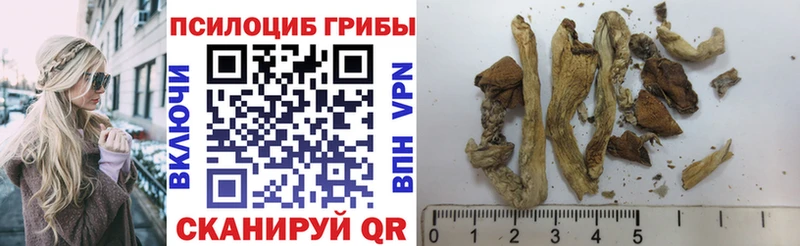 Псилоцибиновые грибы Magic Shrooms  Купить  Соликамск 
